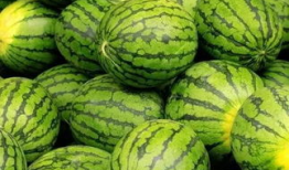 清远吃瓜最新事件爆料,揭秘背后惊人真相